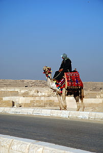 man riding camel standing beside road during daytime thumbnail