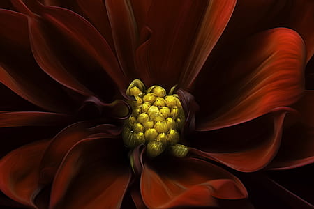 red petaled flower 3D thumbnail