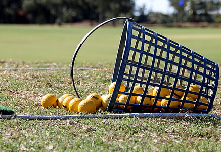 yellow golf balls on green grass thumbnail