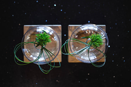 Little grass bundle with a ribbon in a glass jar thumbnail