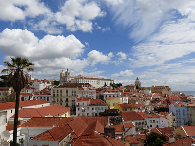 aerial photography of city with buildings thumbnail