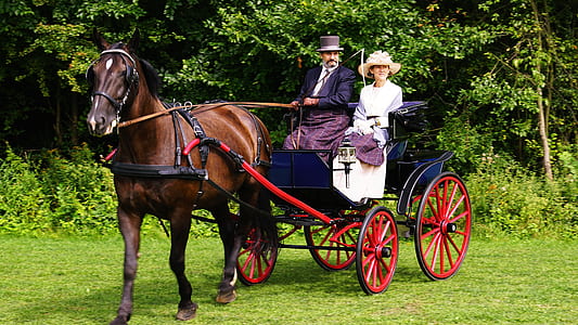 man and woman on horse chariot thumbnail