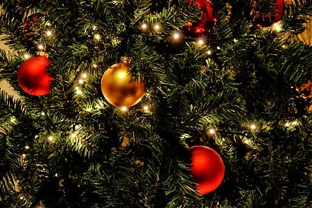 Christmas tree thumbnail