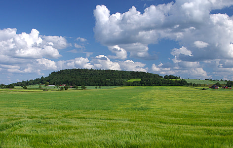 grass field under the calm sky thumbnail