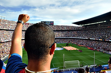 person lifting his left hand cheering in soccer stadium thumbnail