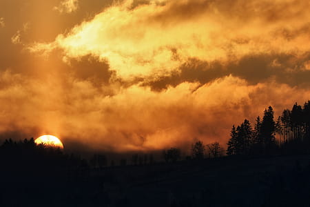 Silhouette Photo of Trees during Sunset thumbnail