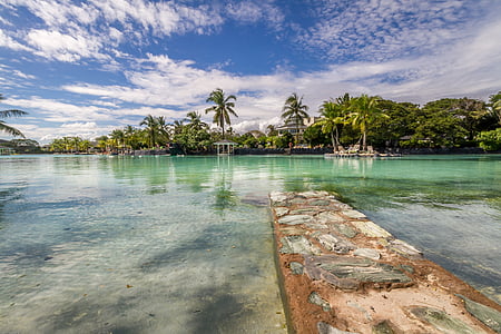 green leaf trees surrounded with body of water near brown dock under blue and white cloudy sky thumbnail