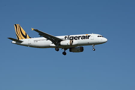 white Tiaerair airliner thumbnail