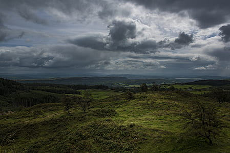 green grass field under cloudy skies thumbnail