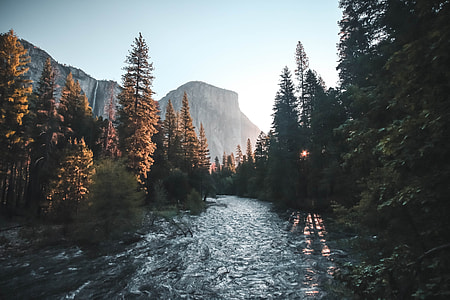 green forests beside lake in landscape photography during daytime thumbnail