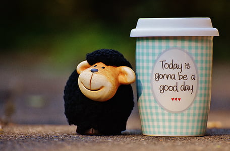 monkey beside cup on pavement thumbnail