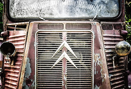 Red Car Grill With Emblem thumbnail