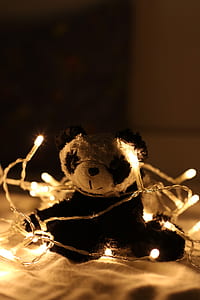 Panda Plush Toy Surrounded by Beige Light Strings thumbnail