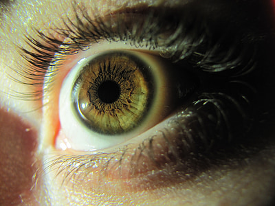 human eye thumbnail