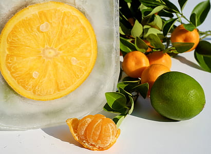 round orange fruits thumbnail