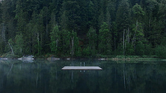 rectangular brown board floating on body of water surrounded by trees at daytime thumbnail