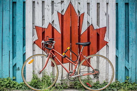 orange road bicycle in front of white and blue maple leaf printed wooden fence thumbnail
