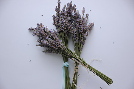 three lavender bouquets on white surface thumbnail