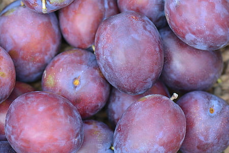 focus photography of plum fruits thumbnail