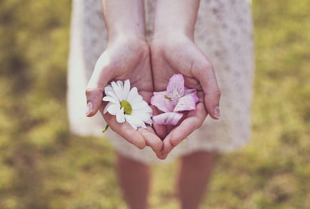 person holding white and pink flowers thumbnail