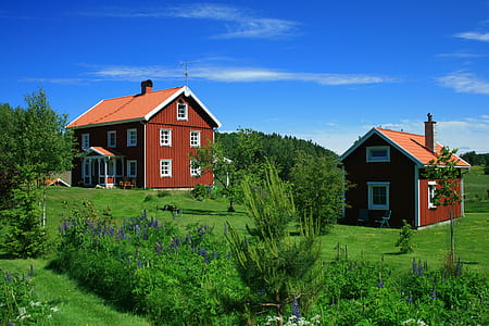brown wooden house near garden field during daytime thumbnail