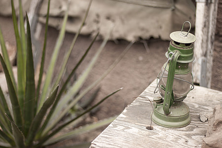 green lantern lamp on brown wooden table near green leaf plant thumbnail