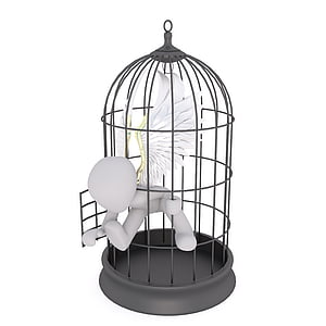 black metal dome birdcage and angel figure thumbnail