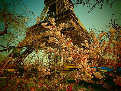 Eiffel Tower in Paris, France thumbnail