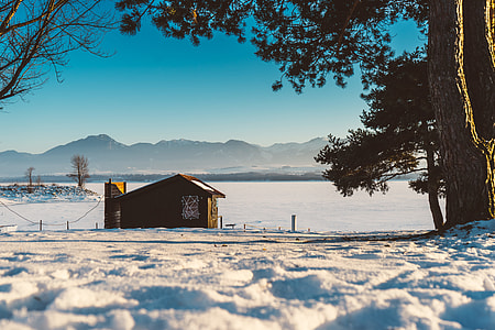 brown wooden house surrounded by snow thumbnail