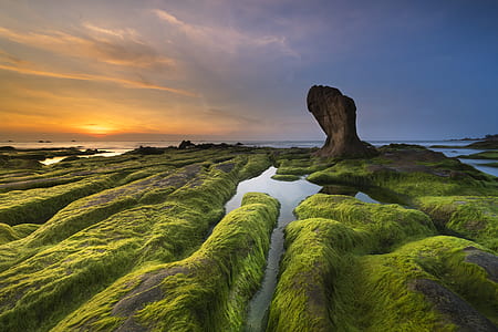 green grass surrounded with water thumbnail