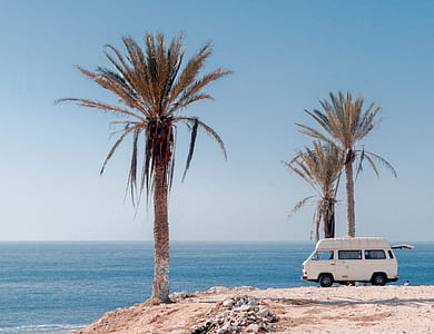 white van beside tree on shore thumbnail