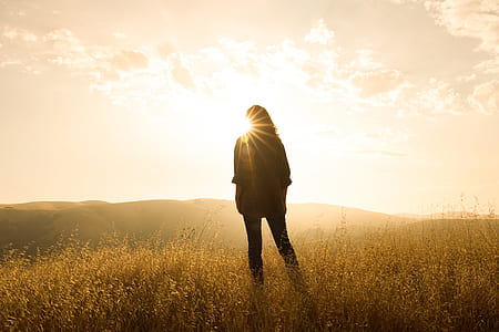 silhouette of person standing on grass field thumbnail