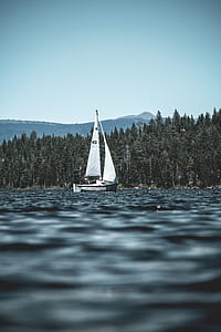 white sailboat near trees during daytime thumbnail