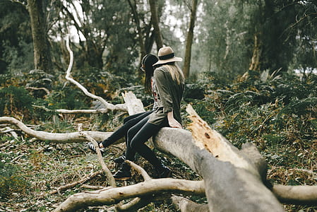 two people sitting on tree trunk thumbnail