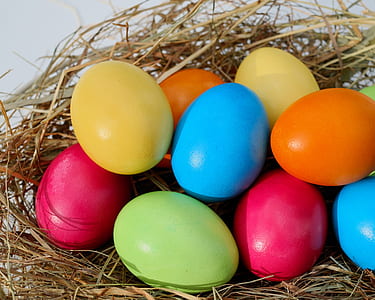 assorted-color ester eggs thumbnail