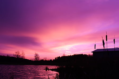 photo, lake, grasses, sky, clouds, sunset thumbnail