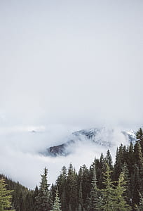 landscape photography of snow covered mountains thumbnail