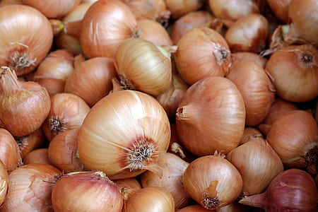 close up photo of brown onions thumbnail
