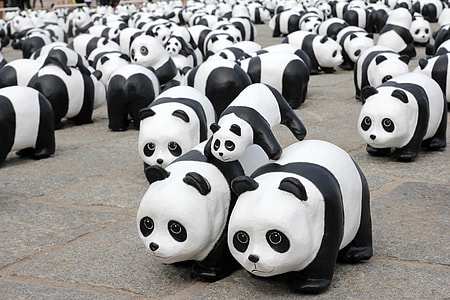 Panda Bear Herd toys thumbnail