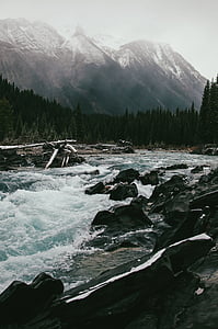 flowing river inline of rocks thumbnail