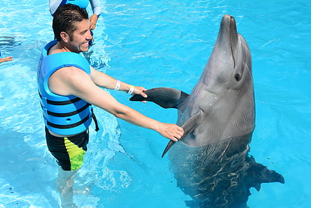 man holding dolphin thumbnail