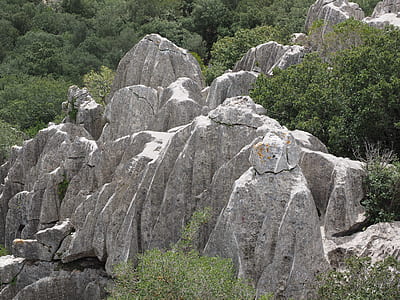 gray rock formation surrounded by green leafed trees thumbnail