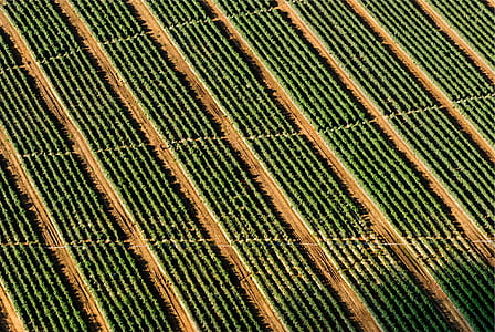 bird's-eye photography of green grass field thumbnail