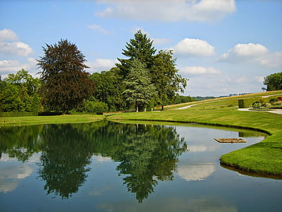 green and brown leaf trees on grass field near body of water thumbnail