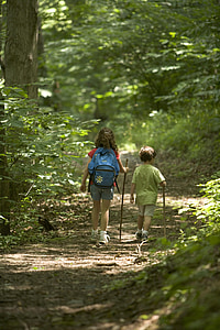 girl and boy walking in forest during daytime thumbnail