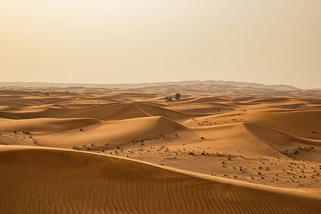 landscape photography of desert thumbnail