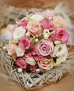 selective focus photography of white and pink rose bouquet on twig thumbnail