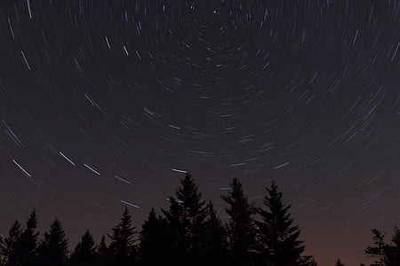 silhouette of trees under nighttime thumbnail