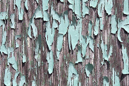 green painted wall thumbnail