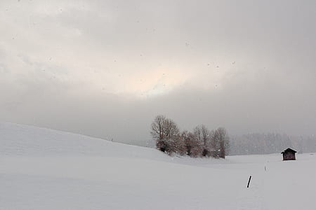 shed on snow covered field thumbnail